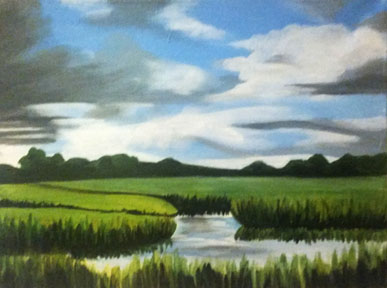 Carolina Marsh